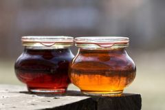 Maple Syrup. Image courtesy of Flickr user Susy Morris. Maple Syrup. Image courtesy of Flickr user Susy Morris.