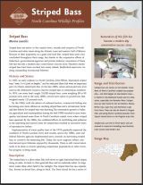 View or download the full profile from the NC Wildlife Resources Commission PDF