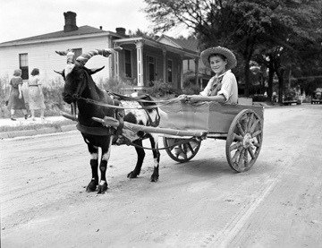 Wilson Farm Festival, Wilson, NC, August 1938, Goat Wagon, photo taken by Baker. Conservation and Development Department, Travel and Tourism Division Photo Files, North Carolina State Archives, call #: ConDev1403A-A . Wilson Farm Festival, Wilson, NC, August 1938, Goat Wagon, photo taken by Baker. Conservation and Development Department, Travel and Tourism Division Photo Files, North Carolina State Archives, call #: ConDev1403A-A .